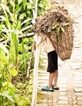Farmer with large basket Photo: Shivali Chopra CC 2.0