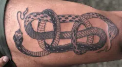 Jess T Fang arm tattoo