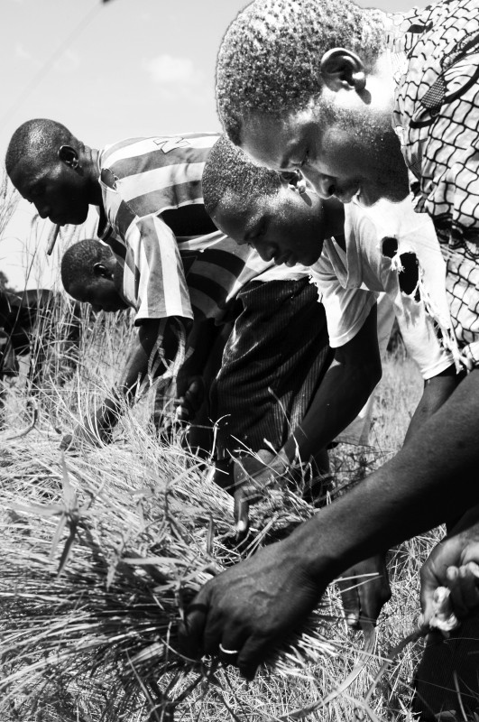 Farmers in Segou
