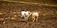 Plowing field Photo” “REBEL” CC 2.0