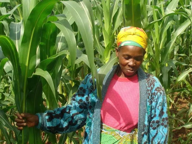 Farming in RWanda
